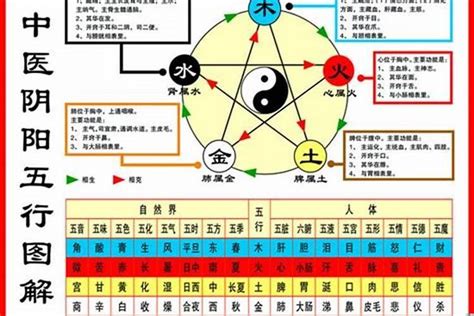 1984五行|1984年出生五行属什么